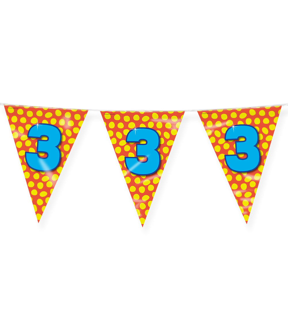 Vlaggenlijn 3 Jaar Gekleurd