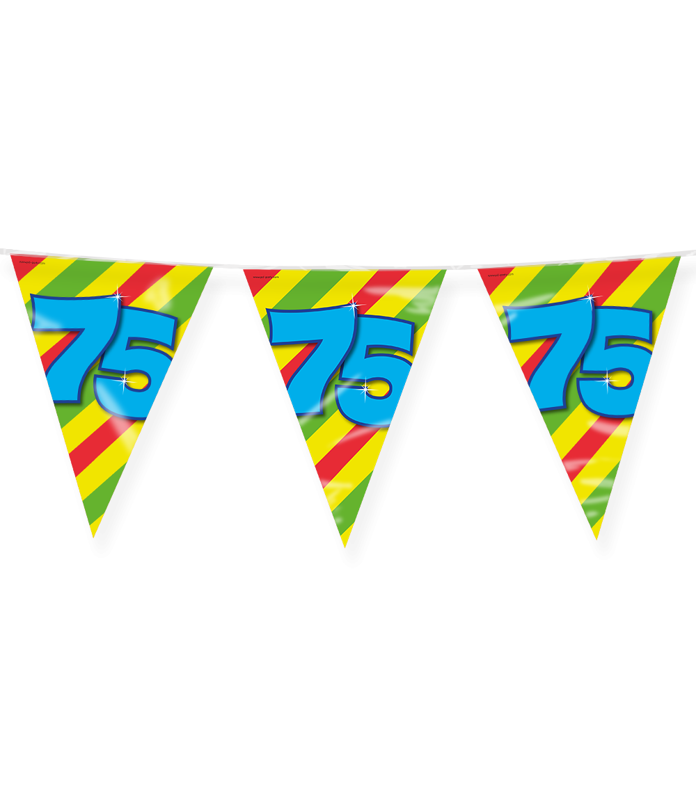 Vlaggenlijn 75 Jaar Gekleurd