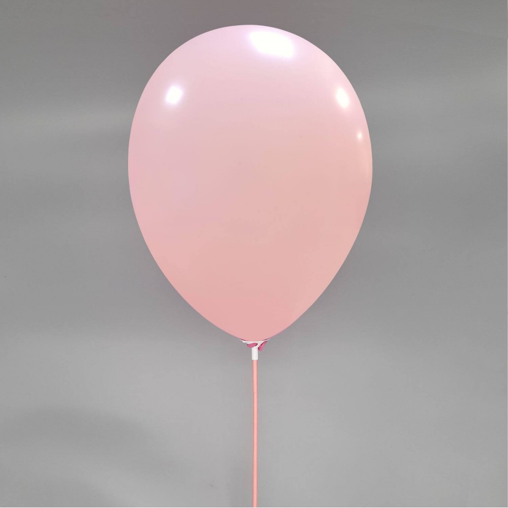 Ballondraagstaafjes / ballon stokjes met Cup | 100% biologisch afbreekbaar | 100 st
