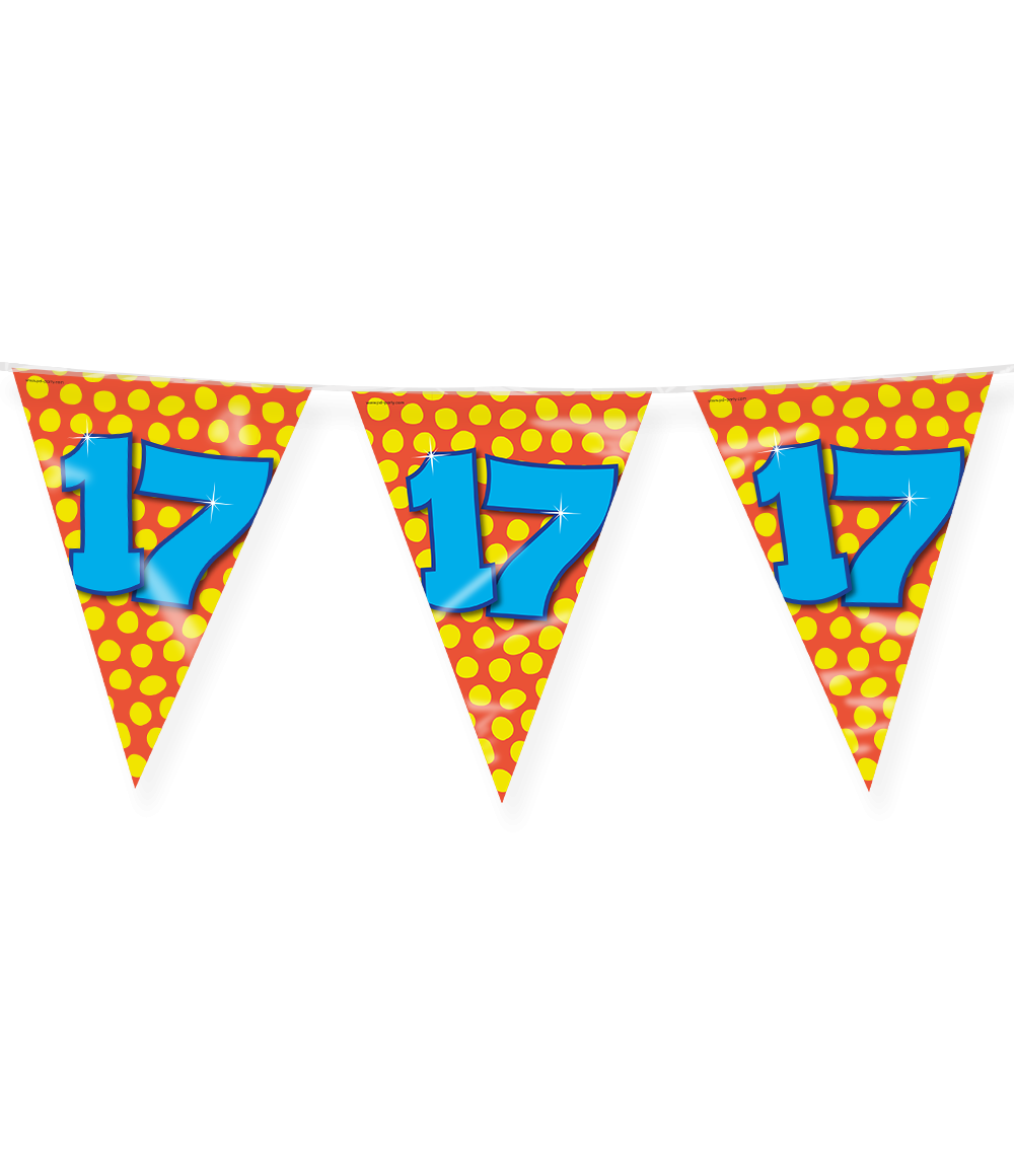 Vlaggenlijn 17 Jaar Gekleurd