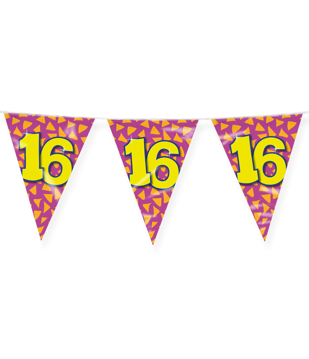 Vlaggenlijn 16 Jaar Gekleurd