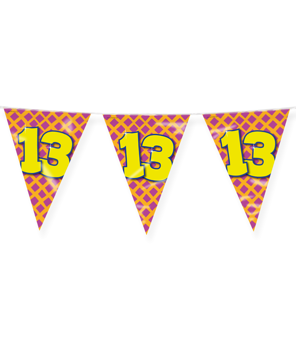 Vlaggenlijn 13 Jaar Gekleurd