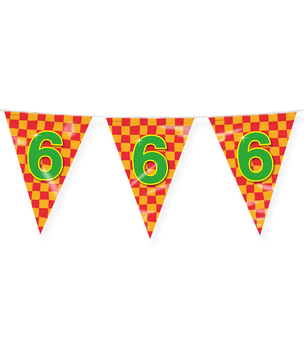 Vlaggenlijn 6 Jaar Gekleurd