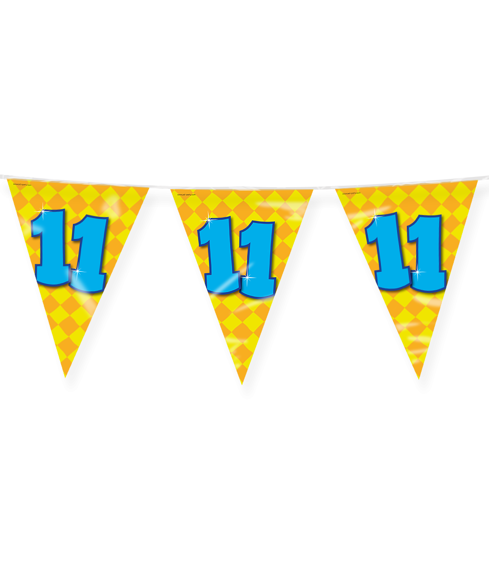 Vlaggenlijn 11 Jaar Gekleurd