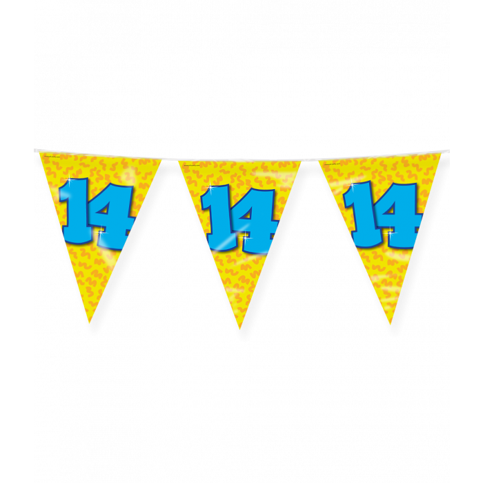 Vlaggenlijn 14 Jaar Gekleurd